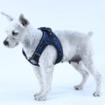 Adjustable No-Pull Dog Harness – Breathable Reflective Mesh Vest for Small, Medium & Large Dogs