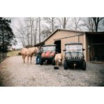 Axis 500 4 × 4 UTV