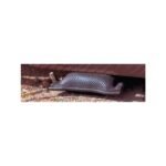 ESCO 50 Ton Air Bag Jack Kit - Image 6