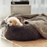 Calming Dog Bed & Weighted Blanket Bundle - Image 10