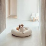 Luxury Boucle Dog Bed - Image 2