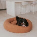 Premium Teddy Bed - Image 3