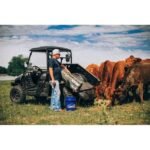 Axis 500 4 × 4 UTV - Image 3