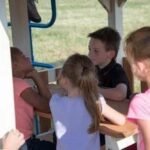 Royal Retreat Swing Set - Image 4