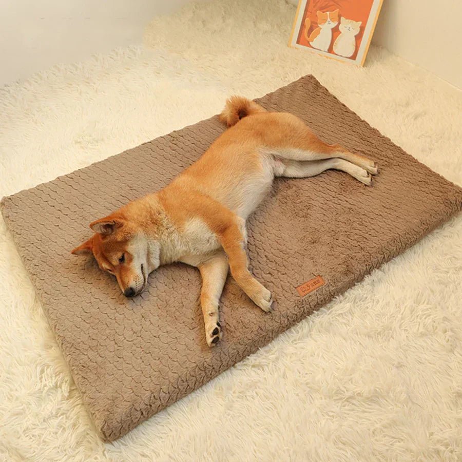 S8a172c55e9d946cf80b84cb84f854367k.jpg Washable Dog Cushion Cover – Comfort and Style for Your Pet - Image 1