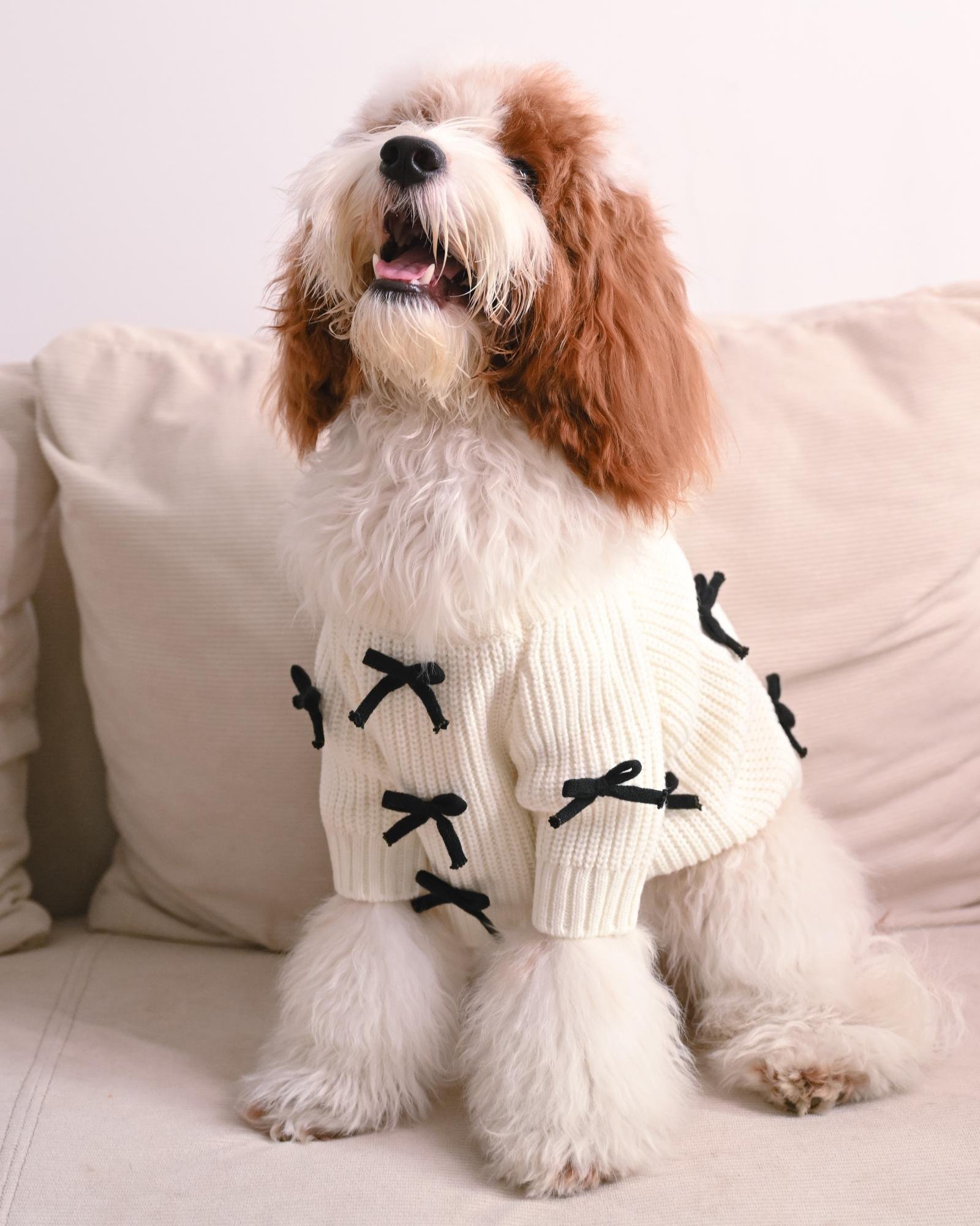 dogblacksweater01.jpg Black Bow-3D Motif Pet Sweater - Image 1