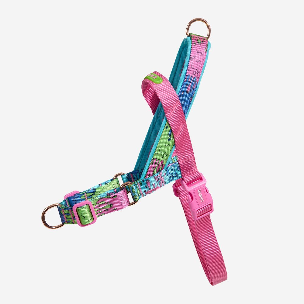 melted-softerwalk-harness-main-1.jpg Melted | SofterWalk Harness - Image 1