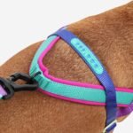 Shockwave | SofterWalk Harness - Image 2